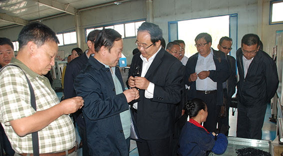 jxf吉祥坊·(中国区)官方网站
