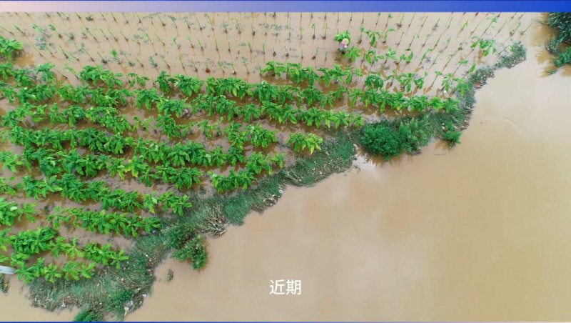 jxf体育节水：严兵秣马，，，，，，，共筑防汛抗旱樊篱