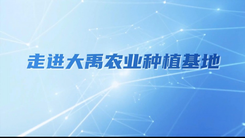 jxf体育农业| 多元化种植基地矩阵，，，，，，，索求农业现代化新蹊径