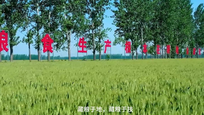 jxf体育节水：破解高尺度农田建设难题，，，，，，扛牢粮食安全沉担，，，，，，以科技与责任交出了一份创新答卷。。。。。。。