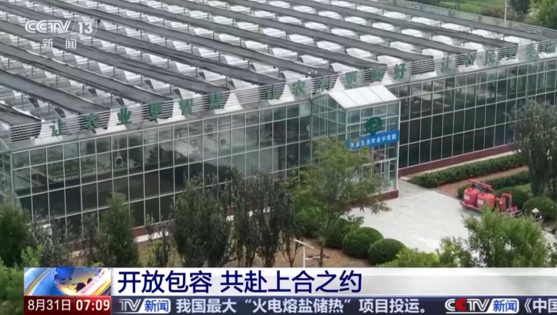 【央视聚焦】jxf体育节水“智慧灌溉”技术惠及“上合各人庭”